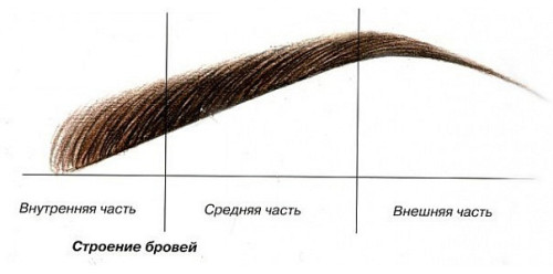 Как правильно и красиво рисовать брови?