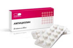 Ампициллин при гнойной ангине Ампициллин при гнойной ангине